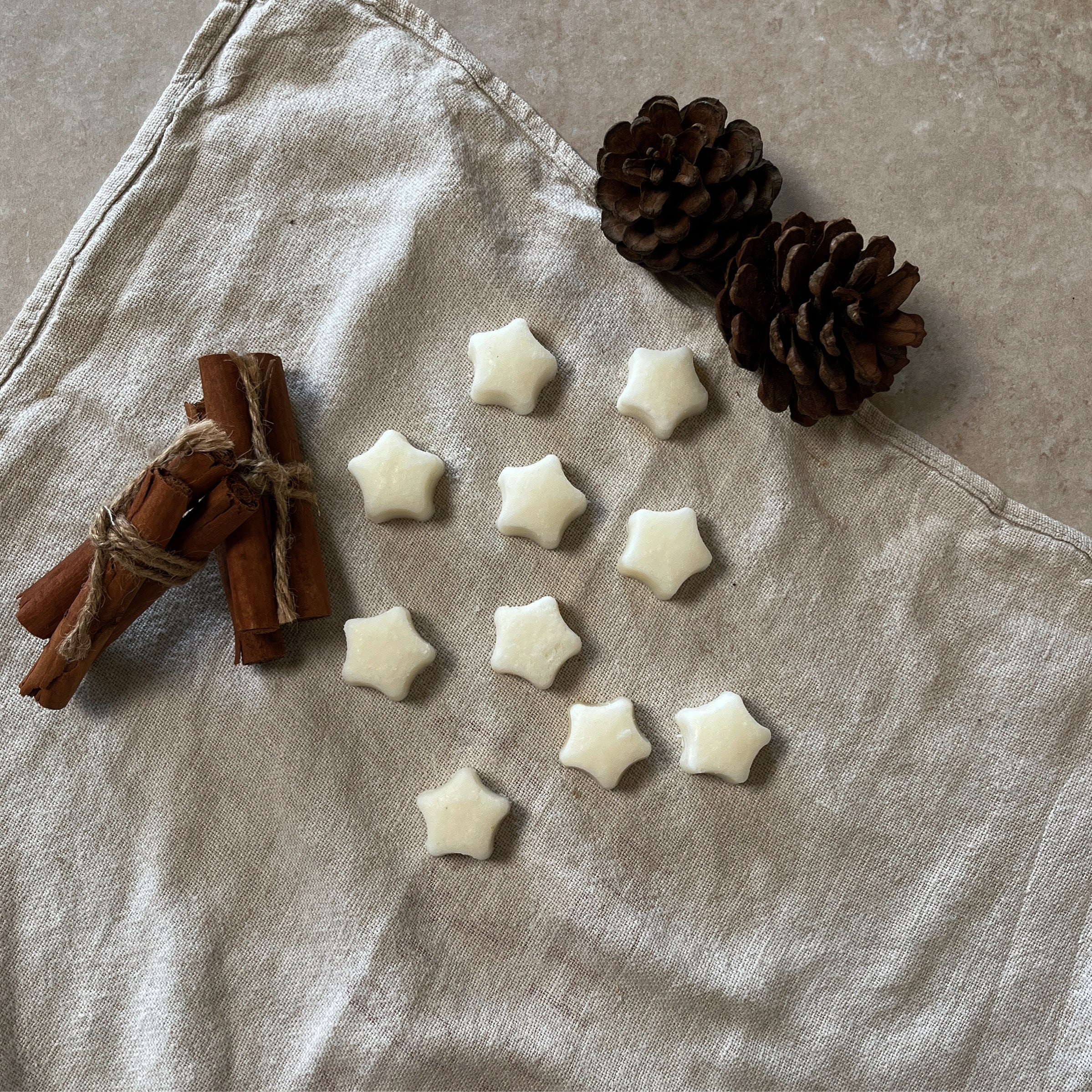 Pumpkin Spice Wax Melts